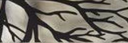 _Khelvn_'s profile banner image