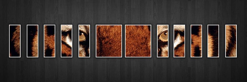 bechu_hareesh's profile banner image