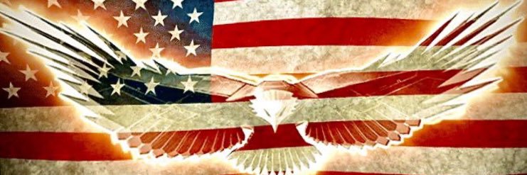 MichelleMassar5's profile banner image