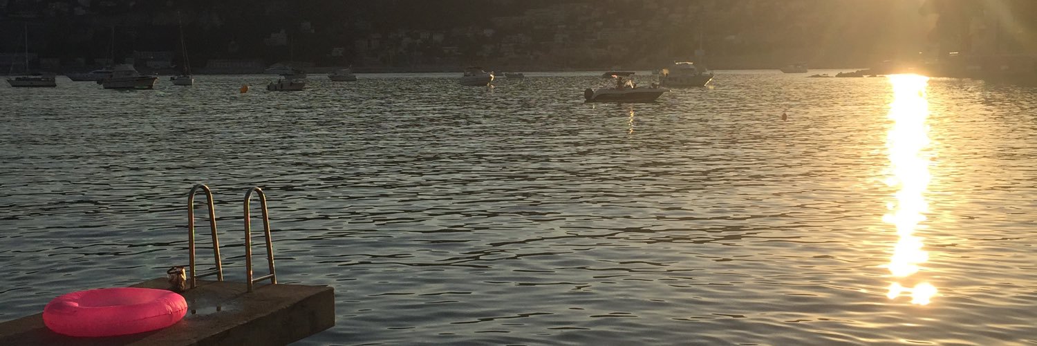 Romain Palaz banner