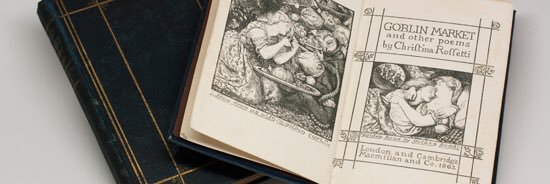 Lara Borlenghi banner