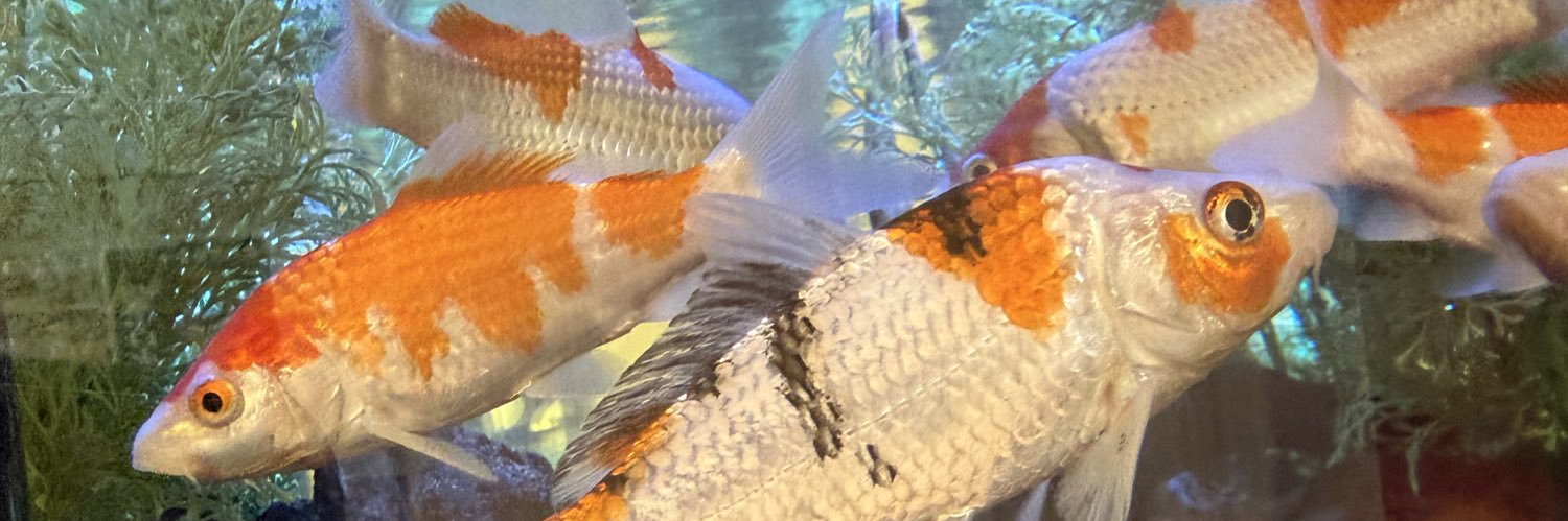 ktkr______'s profile banner image