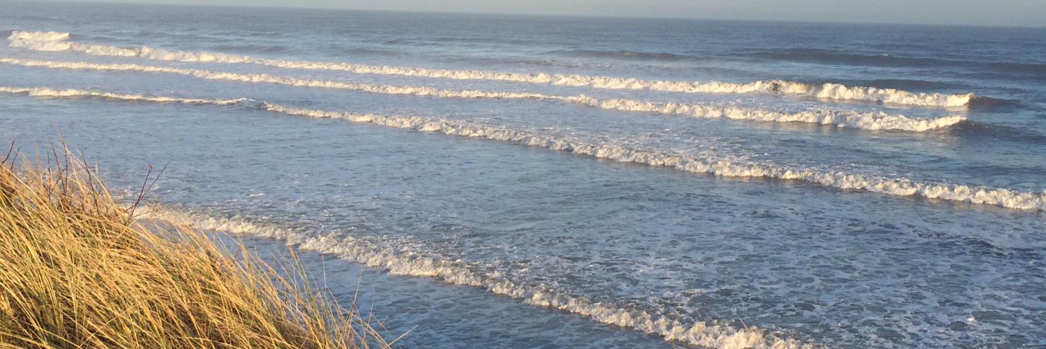 catherine scott banner