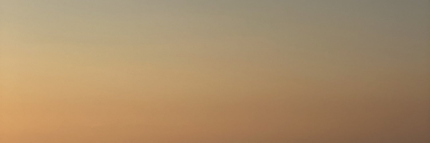 simonemcdowalll's profile banner image