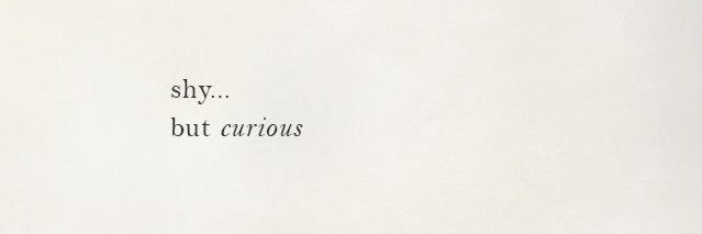 feefbahafzallah's profile banner image