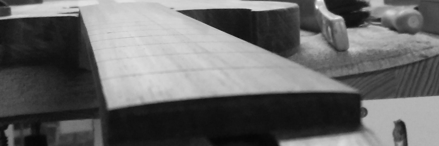 Ashayar's profile banner image