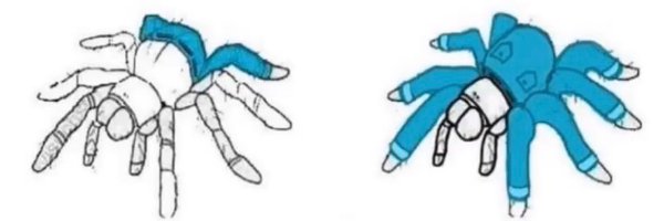 streettrees Profile Banner