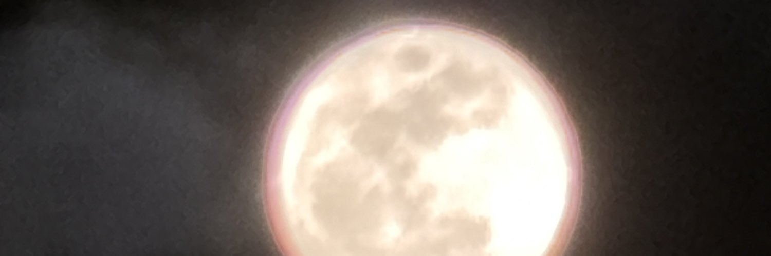 FlightlessRoyal's profile banner image