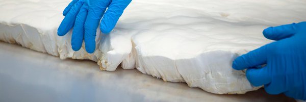 ecovative Profile Banner