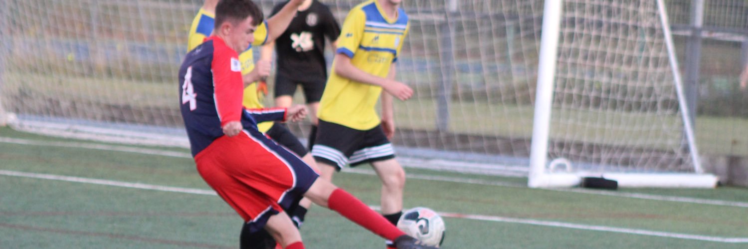 William Pearse banner