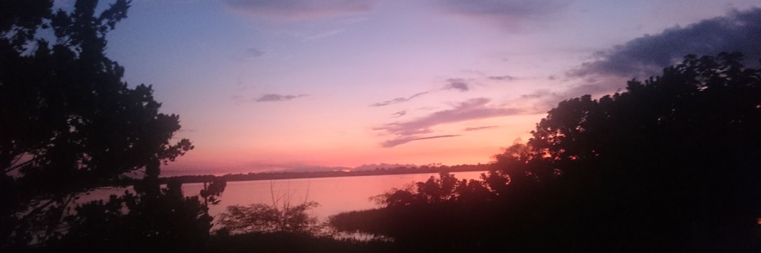 _anyelik's profile banner image