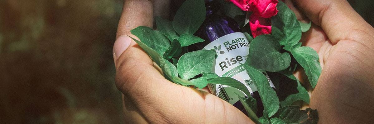 plantswin's profile banner image