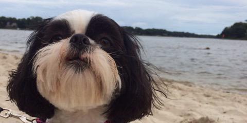 KayFrazier20's profile banner image