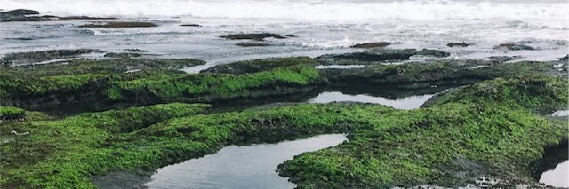 sara_escle's profile banner image