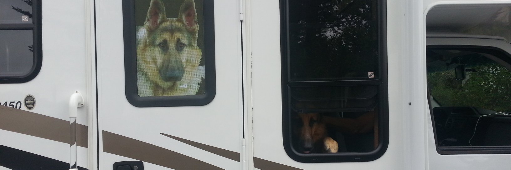 wnleon (Capitalism saves Twit ter) banner