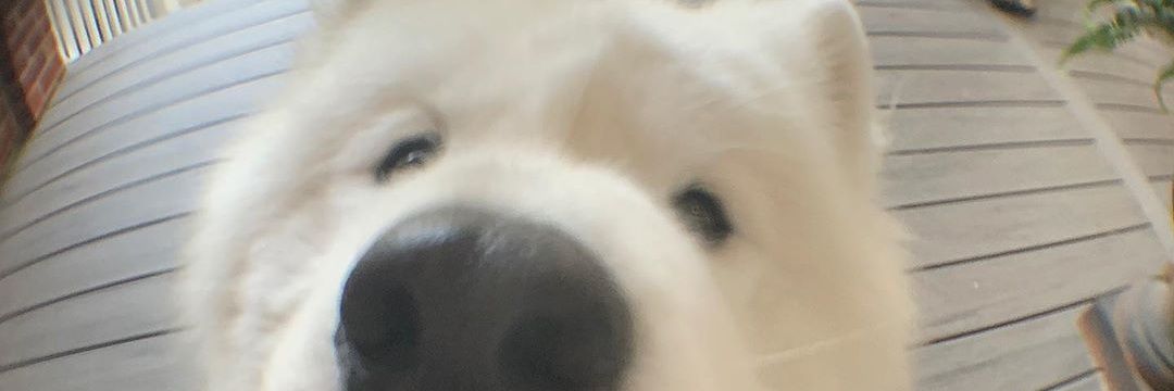syl81bdg's profile banner image