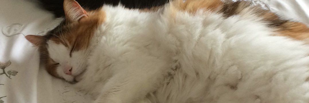mrsgthomas's profile banner image