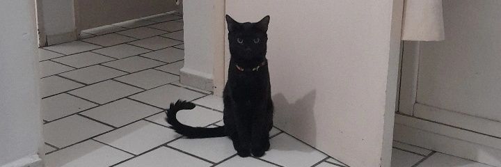 mafevece's profile banner image