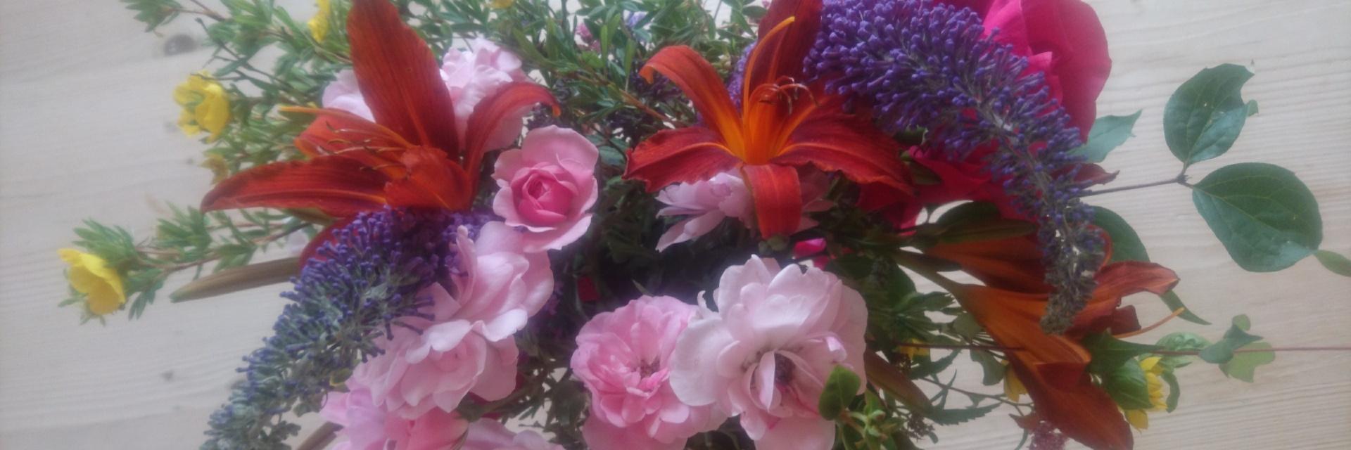 heidibjerga's profile banner image