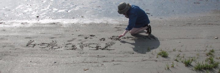 kcmcarpenter's profile banner image
