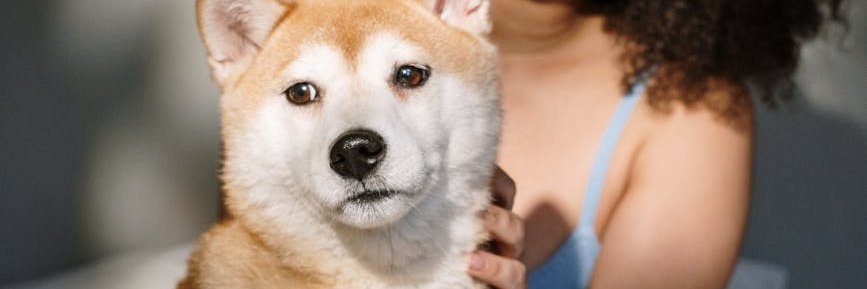 jose_1702's profile banner image