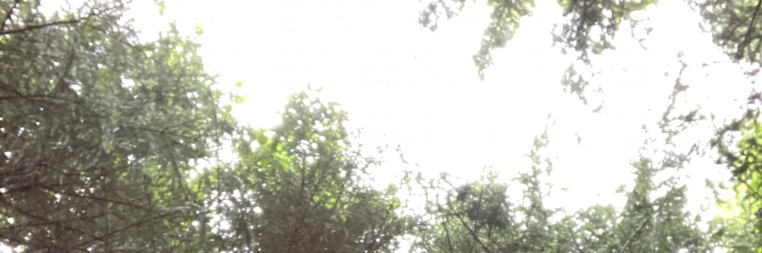 Sabrina Wan banner