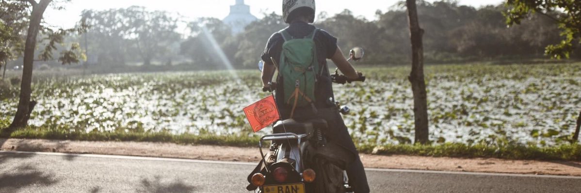 Ine Dehandschutter banner