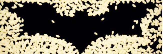 DavidCaseDuncan's profile banner image