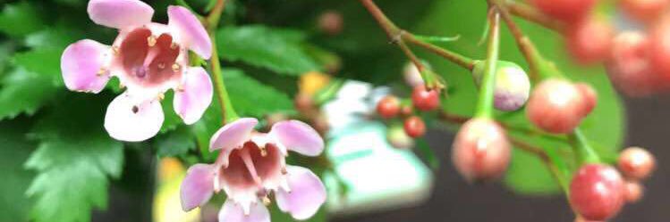 AshleyHicks1891's profile banner image