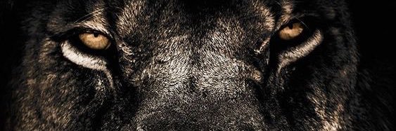 takbraun's profile banner image