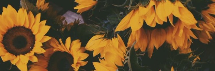 CaittMc's profile banner image