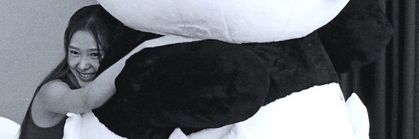 plaborium Profile Banner