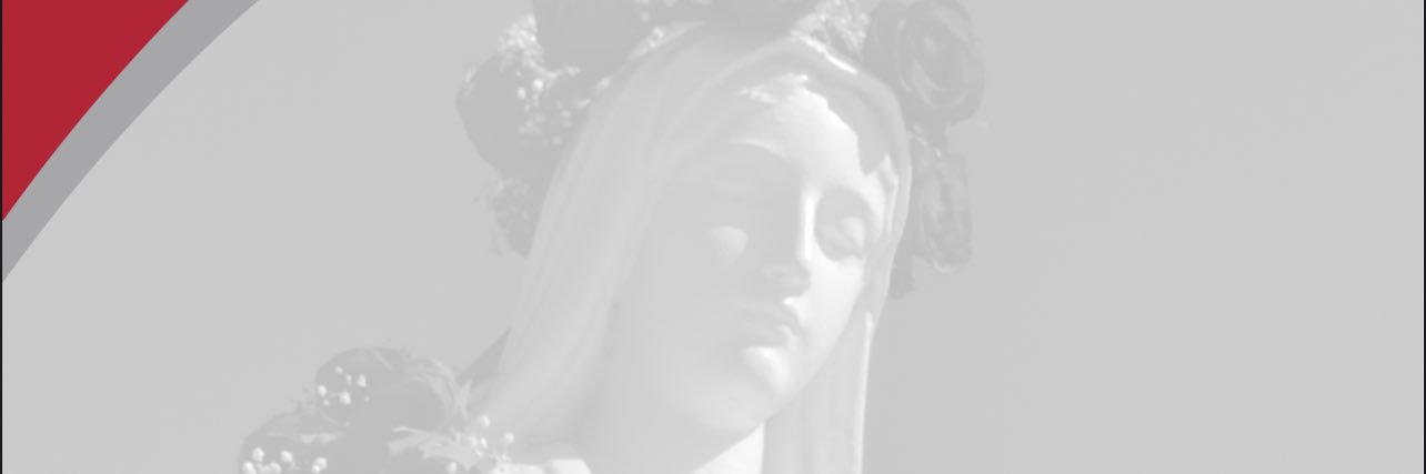 Mater Dei High School banner