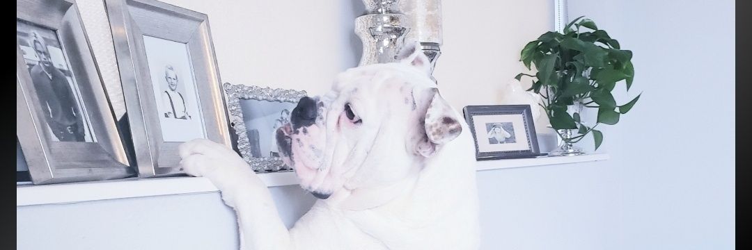 LongHairDon'tCare banner