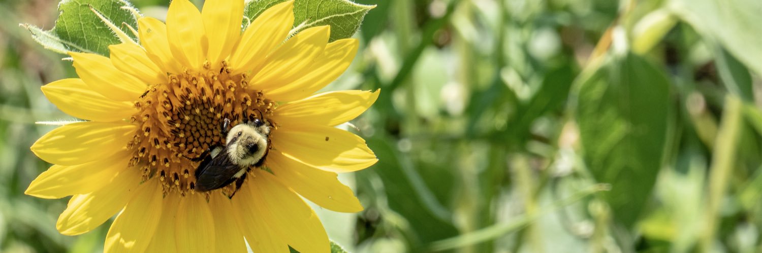 EarthWays Center banner