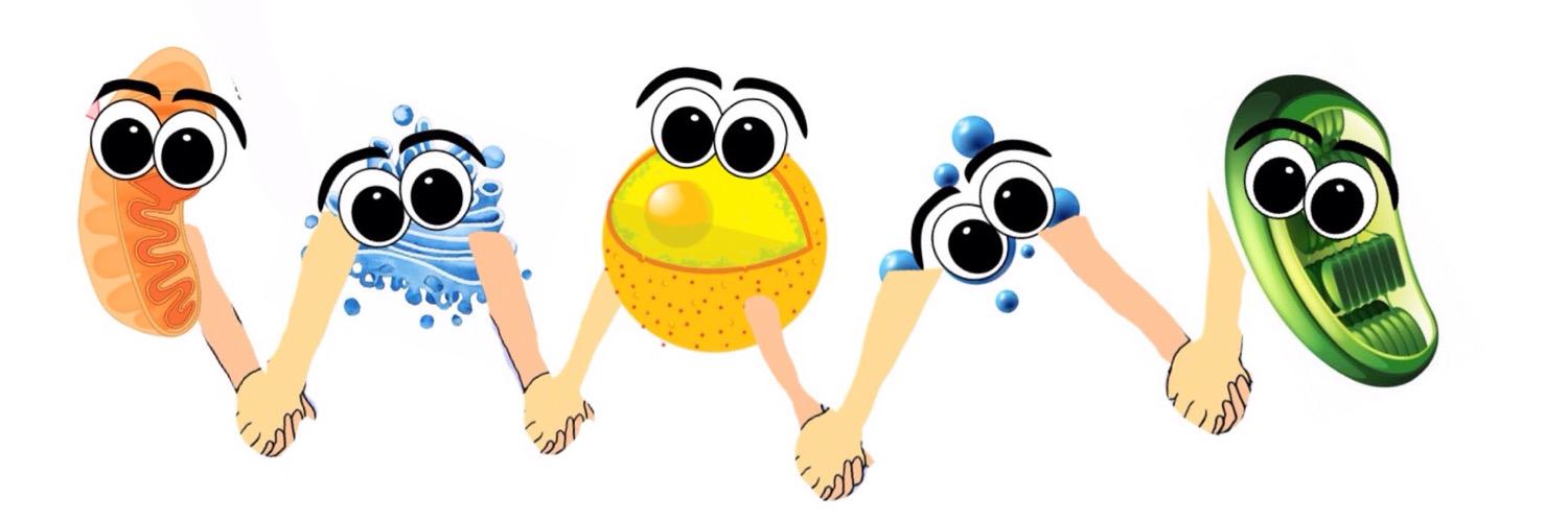 outtacyt's profile banner image