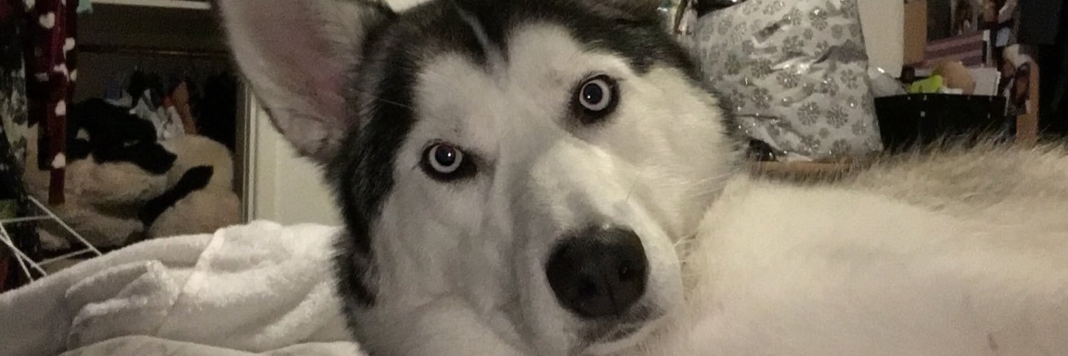 RichHedges's profile banner image