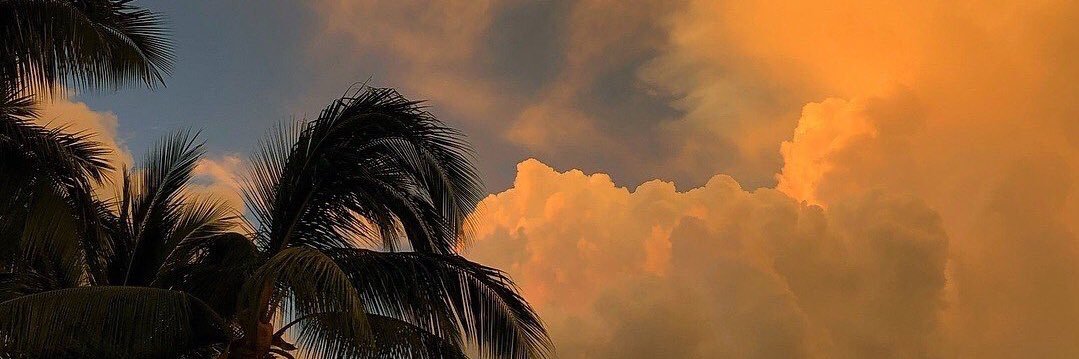Ilda 🦋 banner