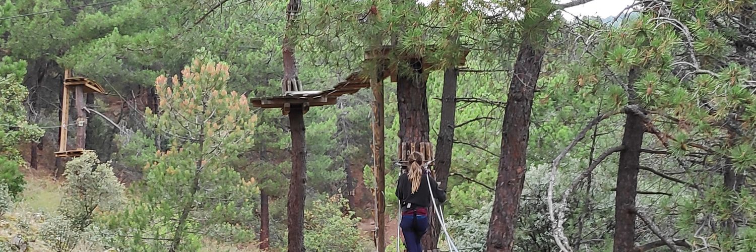 sofia_sotkes's profile banner image