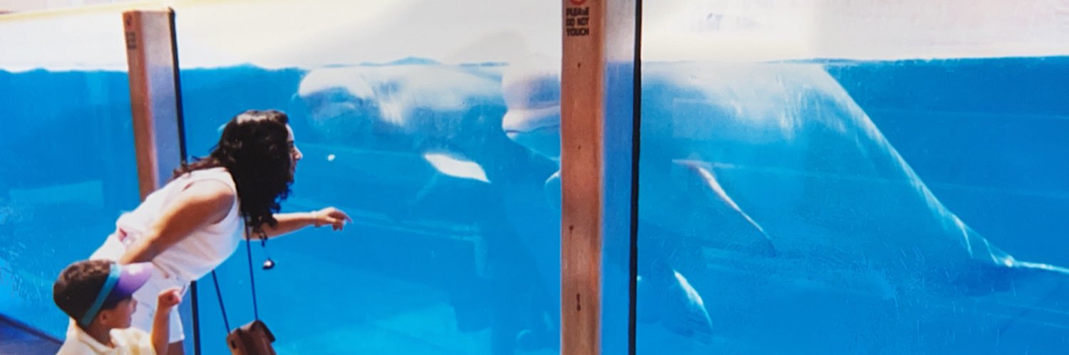 BryanSaenzz's profile banner image