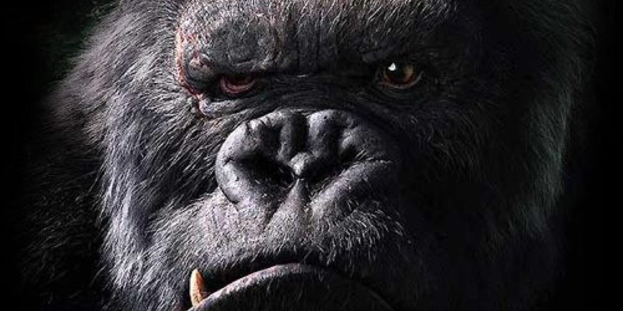ygor_fg_jr's profile banner image