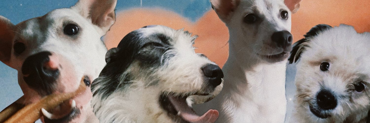 abbeeeeeeeeeeyy's profile banner image
