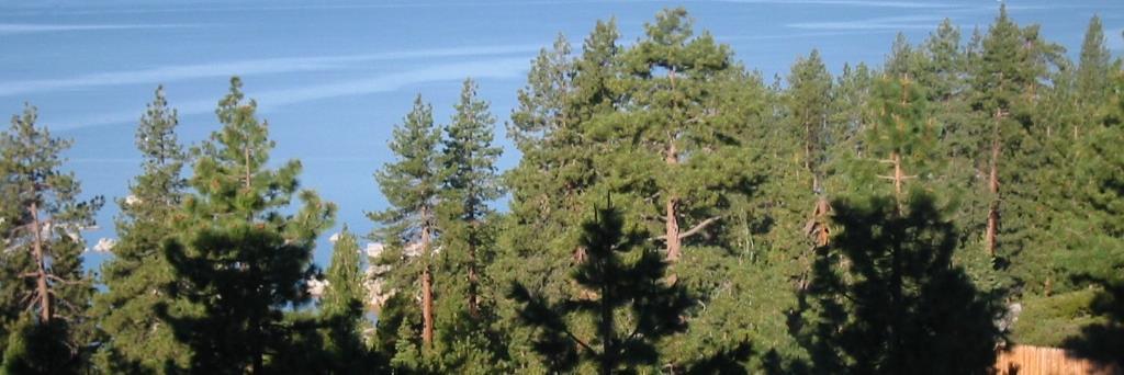 Aviano27's profile banner image