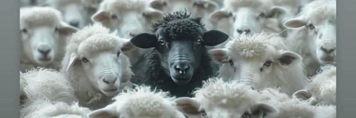 TeeThaGoat 🐐 banner