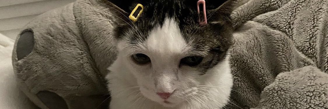 yourbudjohn's profile banner image