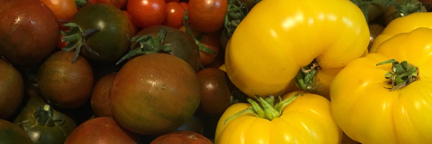 tomthechef's profile banner image