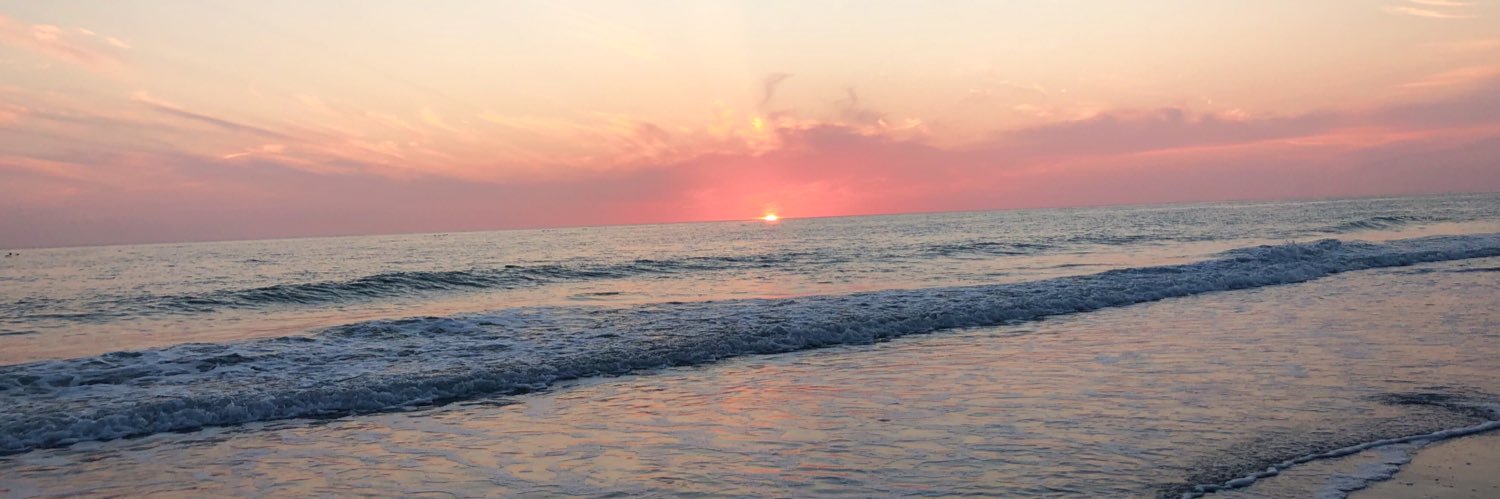 HaleyWilber's profile banner image