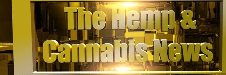 THCNews_NZ's profile banner image