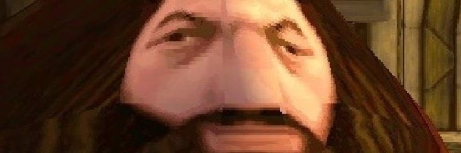 🕷️ banner