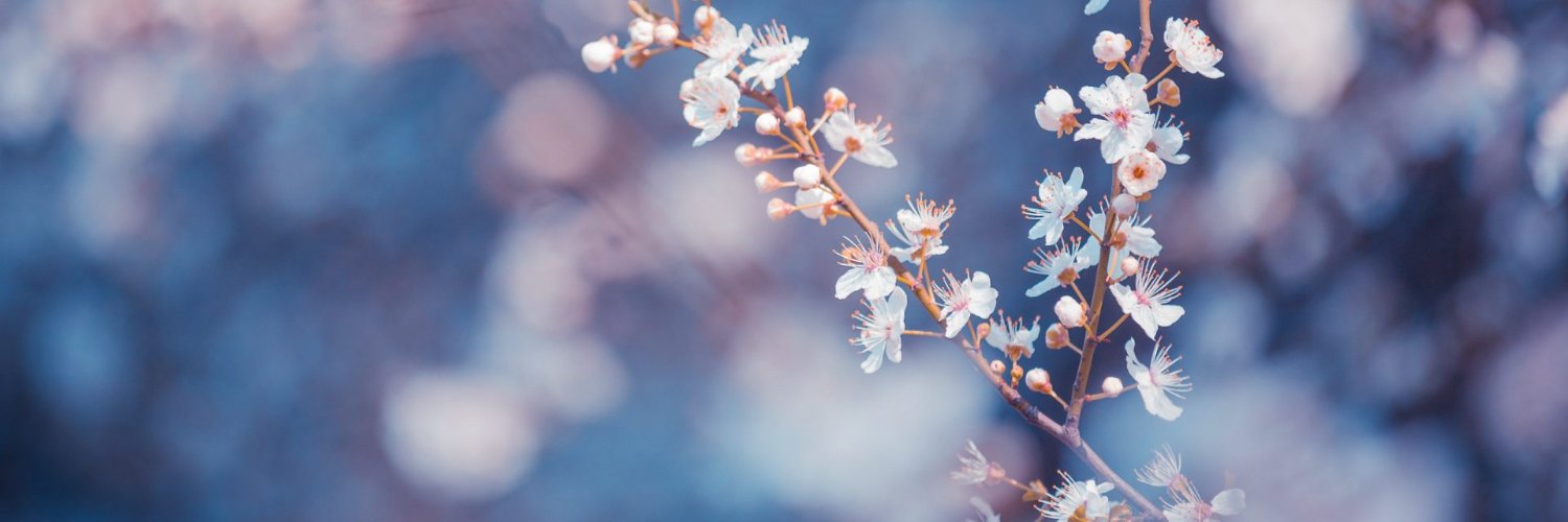 22Belen's profile banner image